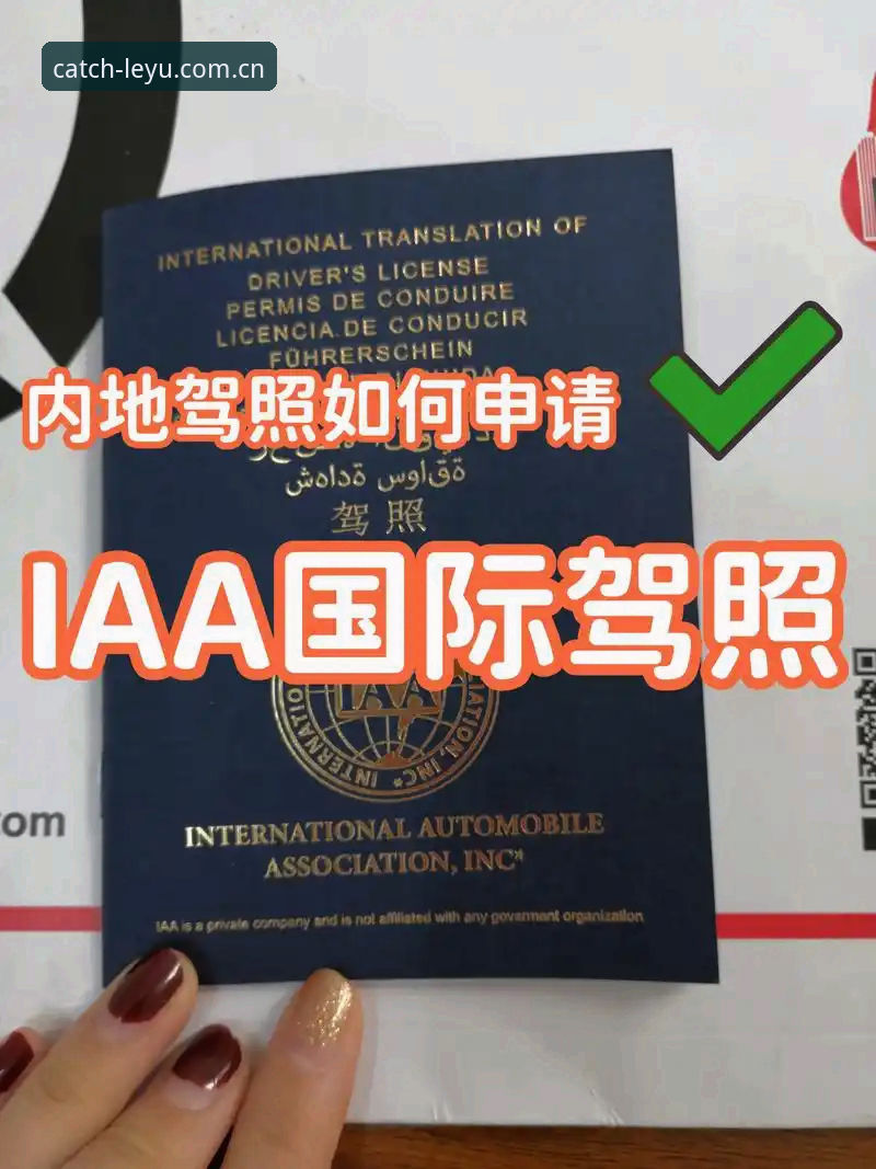 阿斯顿维拉欧联杯夺冠操作教程：从战术解析到乐鱼app观赛全流程指南